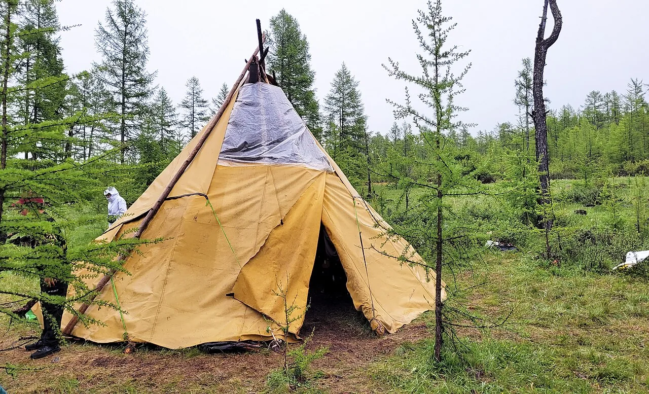 Tsaatan Reindeer Herders (East Taiga)